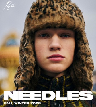NEEDLES